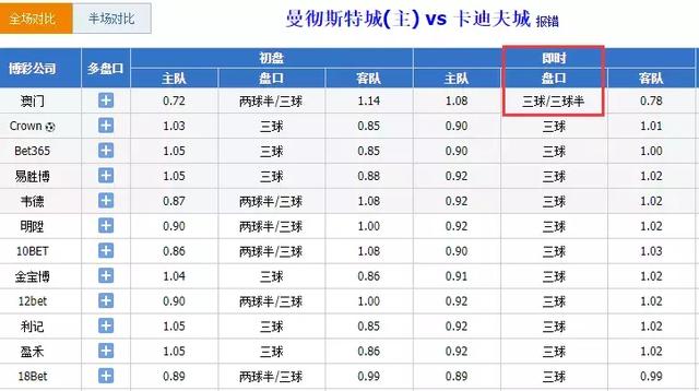 2024澳门特马今晚开奖图,专业调查具体解析_MJR77.911设计师版