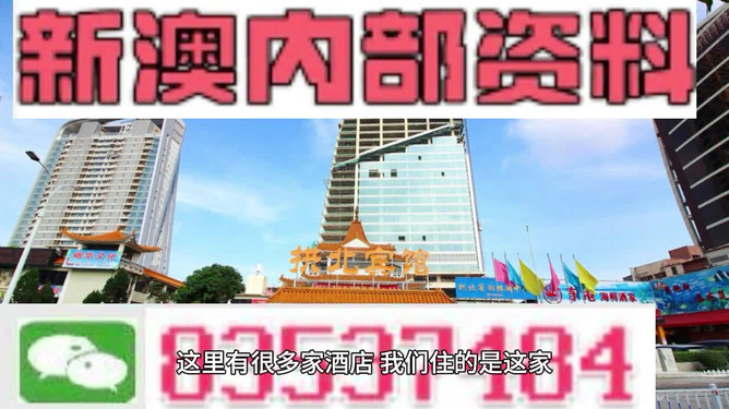 2024新澳最精准资料免费提,全盘细明说明_JPK77.753用心版