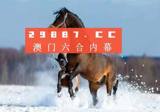 新澳门一肖一码中恃,实际调研解析_TVK77.442同步版