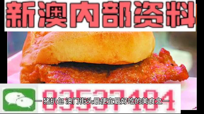 2024新澳正版最新免费资料大全,动态解读分析_ZWG57.508快速版