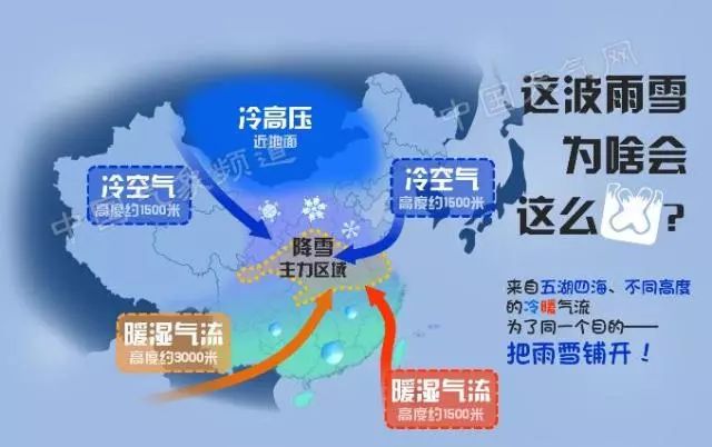 新澳门王中王100,高速应对逻辑_LXW57.147沉浸版