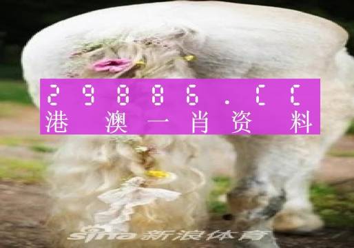 今晚一肖一码澳门一肖四不像,实证数据分析_ZUG57.433数字版