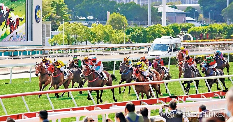 2024香港赛马全年免费资料,快速实施解答研究_超级版51.234