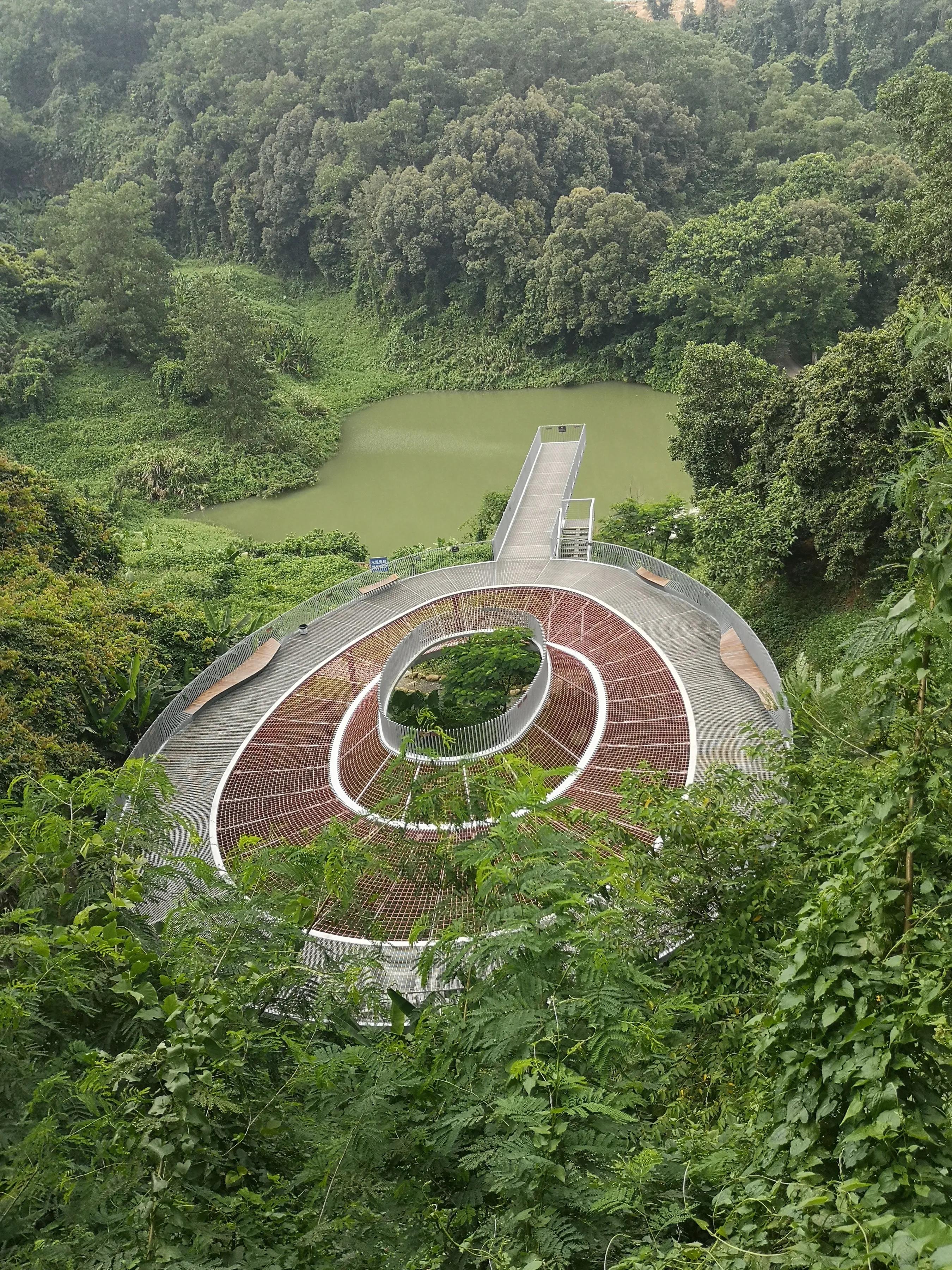 公园亲密互动图，自信与成就之旅的生动展现