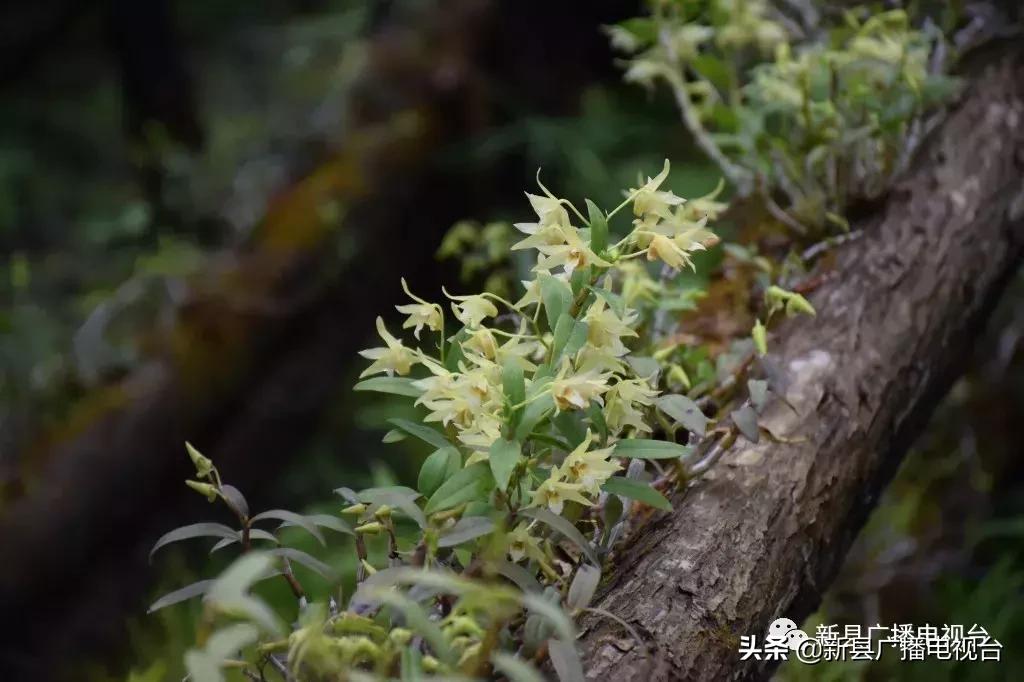 新闻资讯 第18页