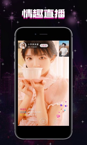 猫咪最新VIP体验，聚焦现代养猫新风尚