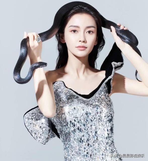杨最新写真，科技与生活艺术的完美融合，瞬间升级生活体验