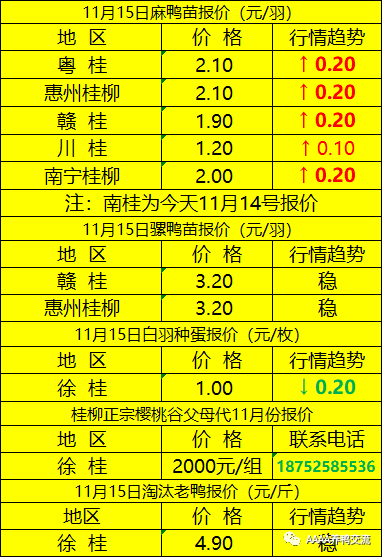最新鸟类价格揭秘，走进鸟语花香的财富世界！